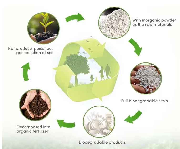 biodegradable food packaging